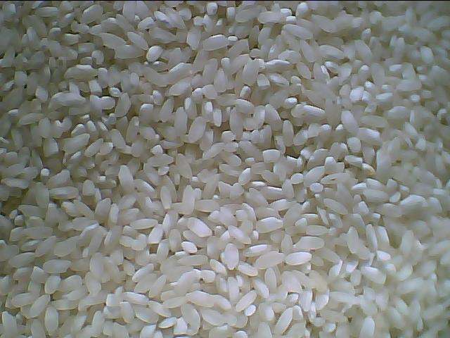 粳米和籼米哪个好消化