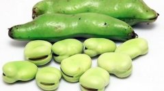 蚕豆的营养价值