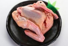 糖尿病可以吃鸽肉吗