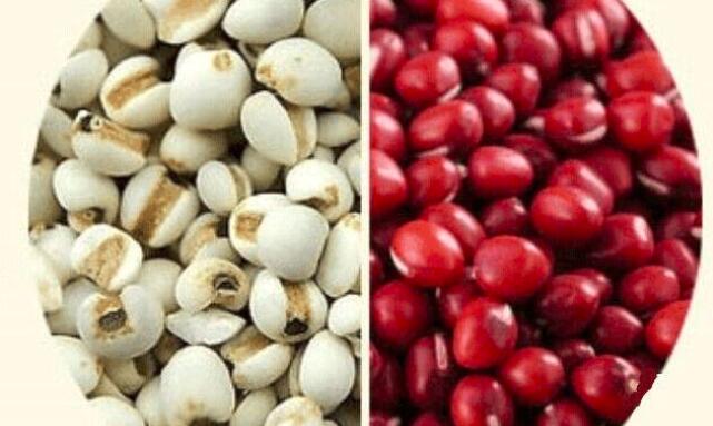 红豆和薏米的区别
