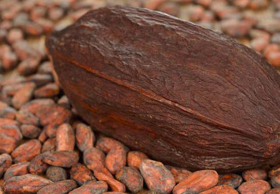 可可豆怎么做巧克力