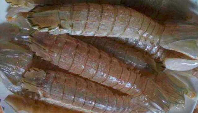 孕妇能吃皮皮虾吗