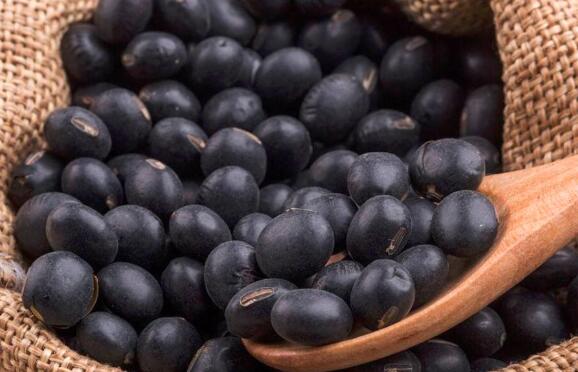 吃黑豆可以促排卵吗