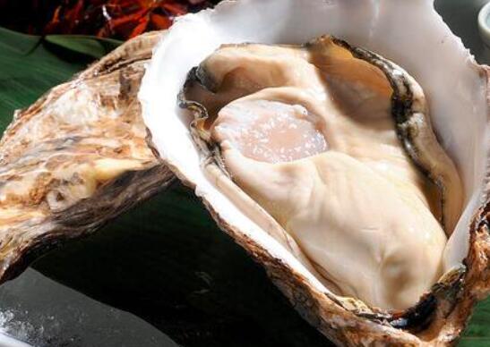 牡蛎和河蚌的区别