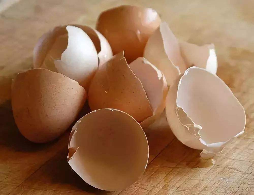 鸡蛋壳的美容药用功效