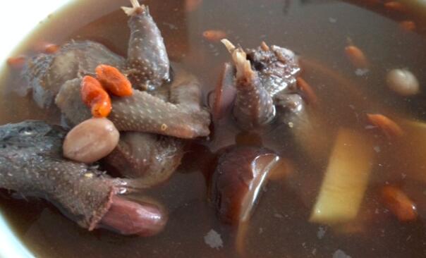 野生鸽子怎么烧汤