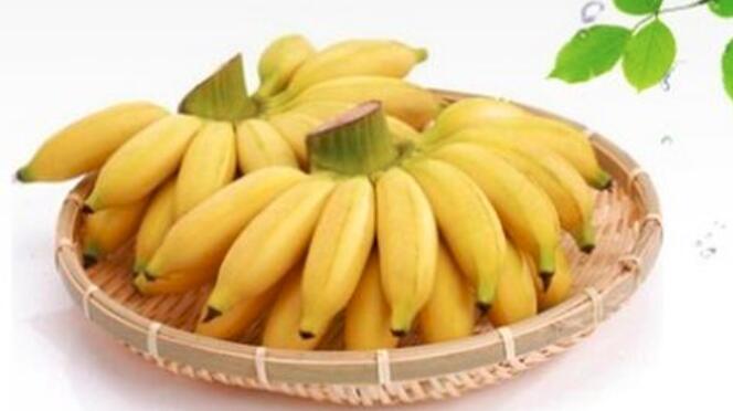 香蕉和米蕉的区别