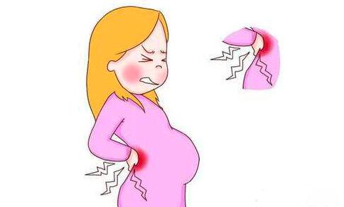 苹果绿 人群养生 孕妇女性在怀孕期间出现腰痛症状就需要注意,多吃