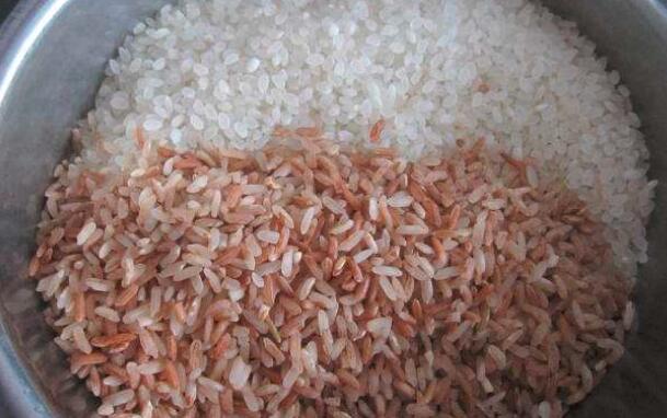 大米和红米的区别