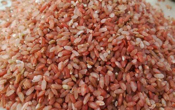 大米和红米的区别