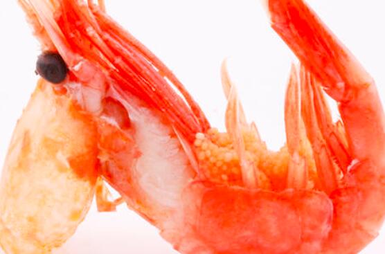 减肥可以吃北极虾吗