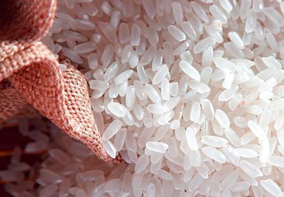 大米和高粱米的区别