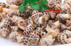 花螺是什么