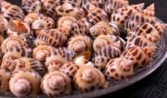 花螺怎么吃_哺乳期可