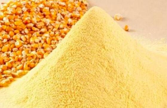 玉米粉是什么