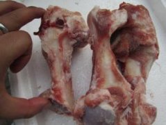 孕妇可以食用猪筒骨吗
