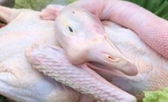 鹅肉是凉性还是热性