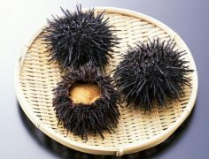 两岁宝宝可不可以吃