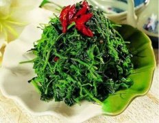 孕妇可不可以吃菊花脑
