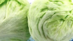 圆生菜的营养价值