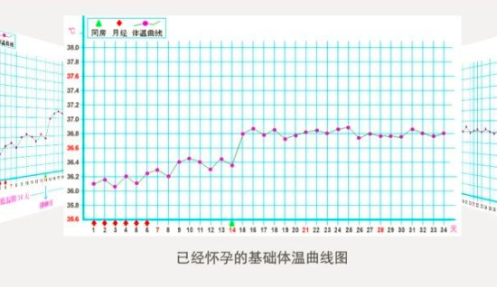 怀孕初期体温多少正常