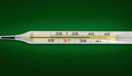 怀孕初期体温测量时间 苹果绿