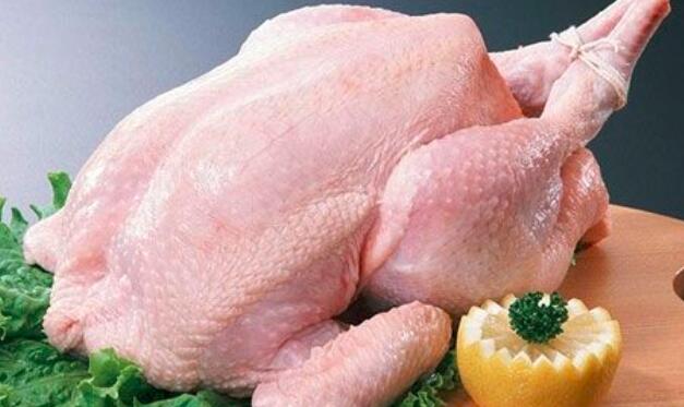 感冒能吃鸡肉吗