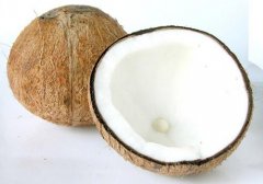 椰子是什么