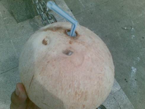 椰子怎么吃