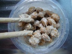 孕妇可以吃纳豆吗