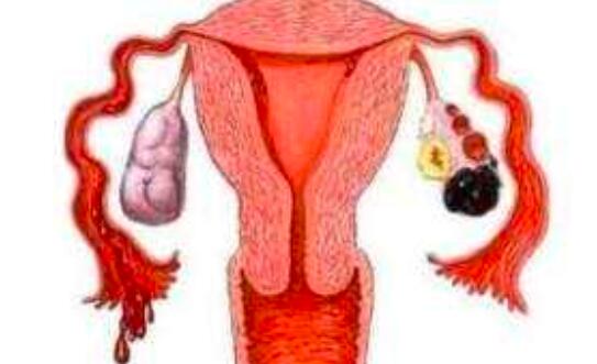 卵巢对于女性的重要性是什么