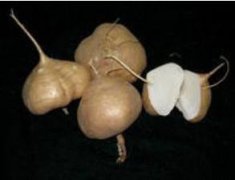 豆薯的功效与作用