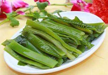 海白菜是碱性食物吗