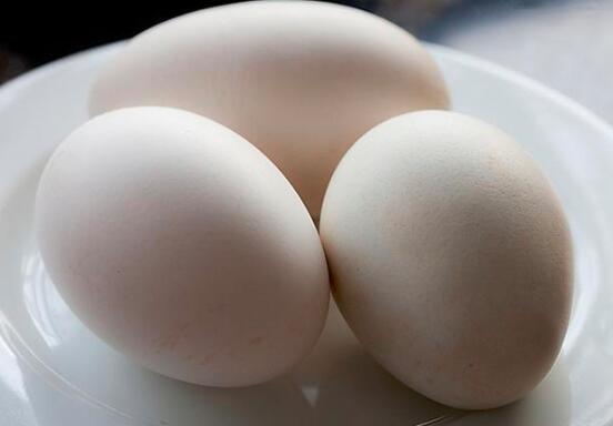 鹅蛋可以长期吃吗