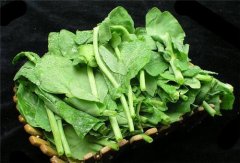 豌豆尖的功效与作用