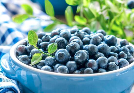蓝莓在什么季节吃最好