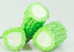 苦瓜怎么挑选才不苦