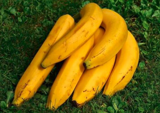 睡前吃香蕉可以提高睡眠质量吗