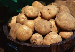 土豆变软后还能吃吗