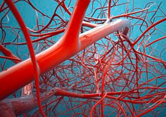 血管保养的方法有哪些