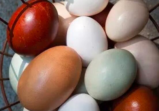 彩色的蛋怎么煮