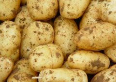 土豆怎么做减脂餐