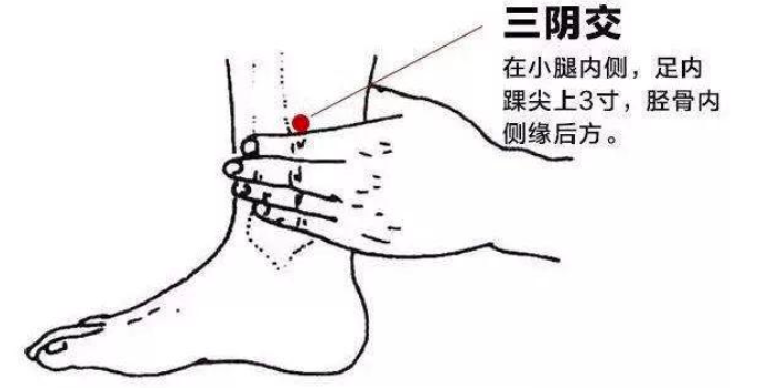 三陰交的按摩方法