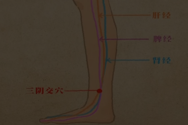 三阴交的准确位置图