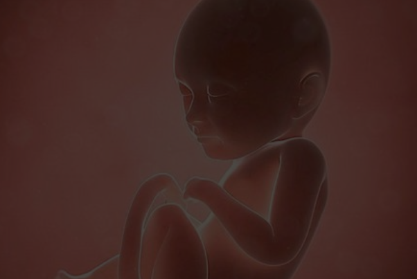四个月胎儿在腹部哪里图片