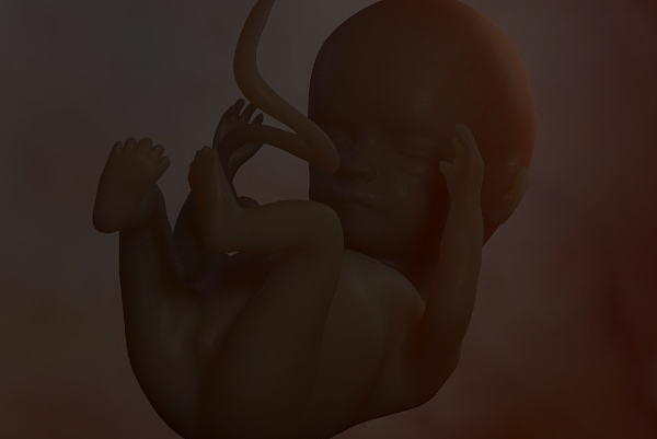 怀孕九个月男胎儿图