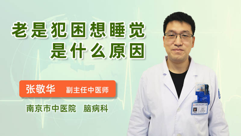 老是犯困想睡觉是什么原因 张敬华医生 苹果绿