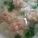 云吞,饺子,区别