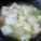 冬瓜,坏冬瓜