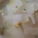 冬瓜,怎么煮